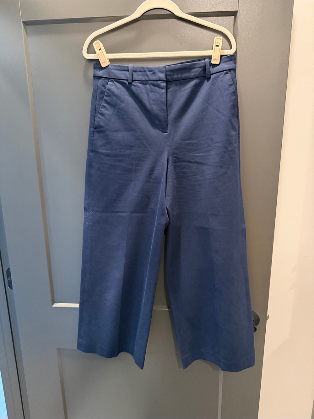 J. Crew Navy Blue Cropped Pants